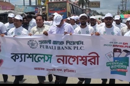 নাগেশ্বরী